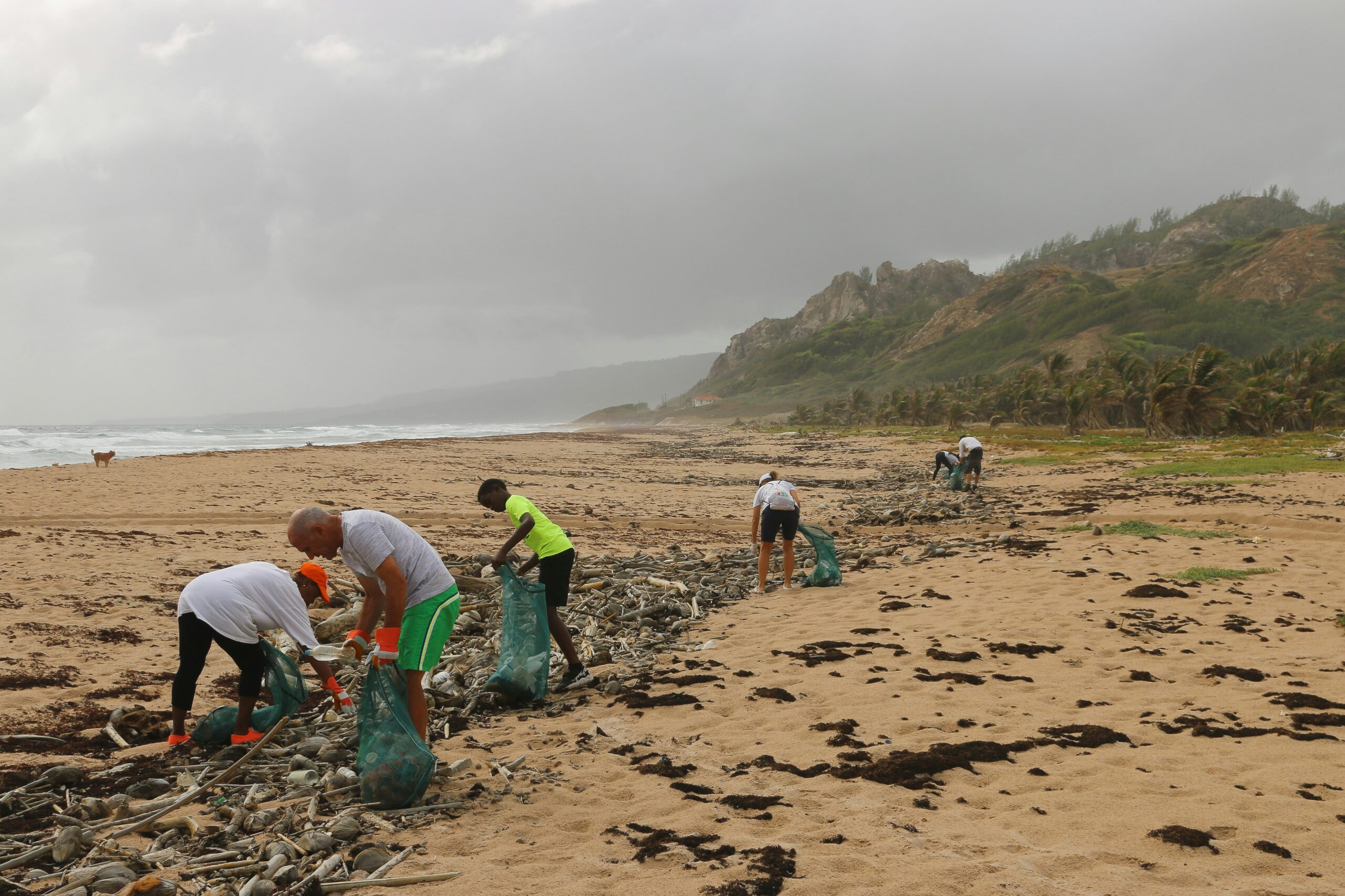 People following one of the best ethical travel tips for coastal regions: volunteer in a beach cleanup