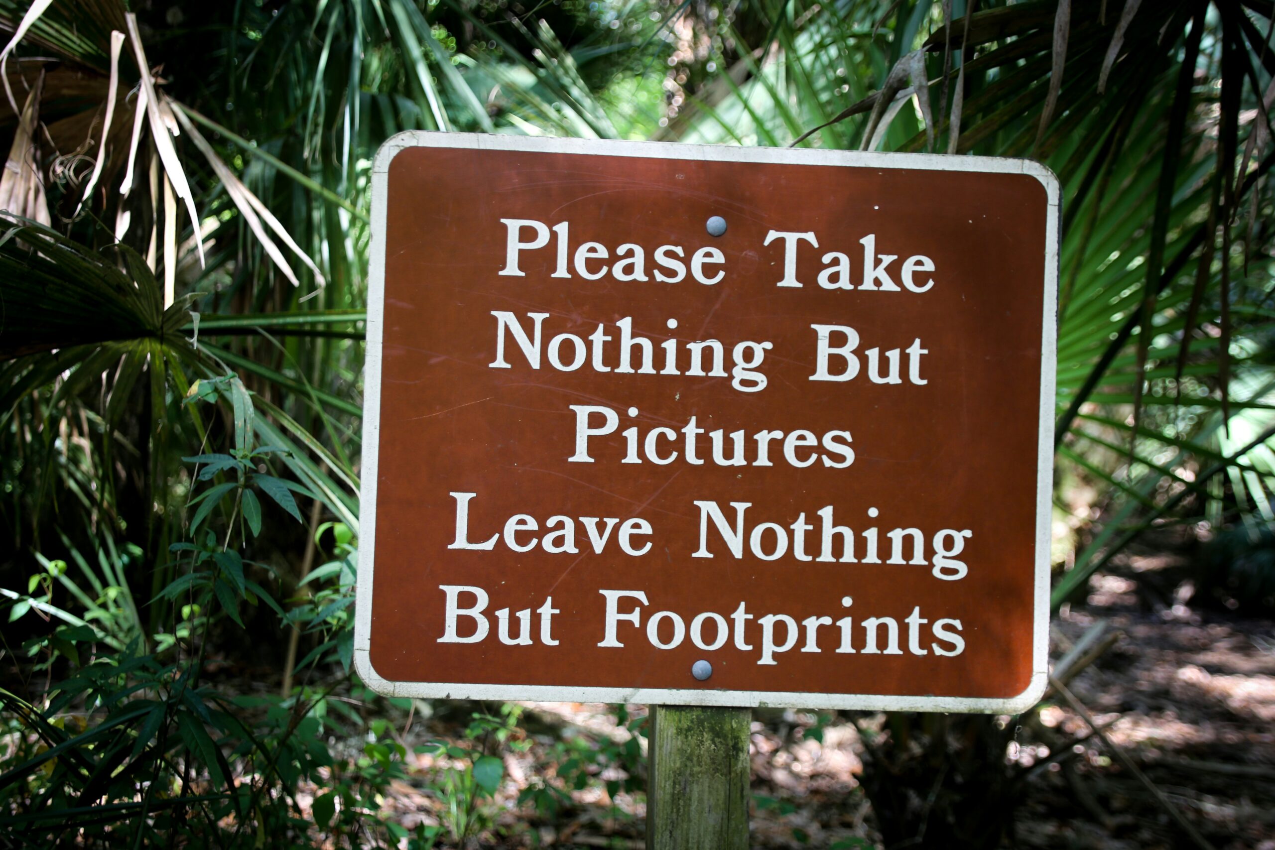 A sign in nature saying, "Please take nothing but pictures. Leave nothing but footprints"
