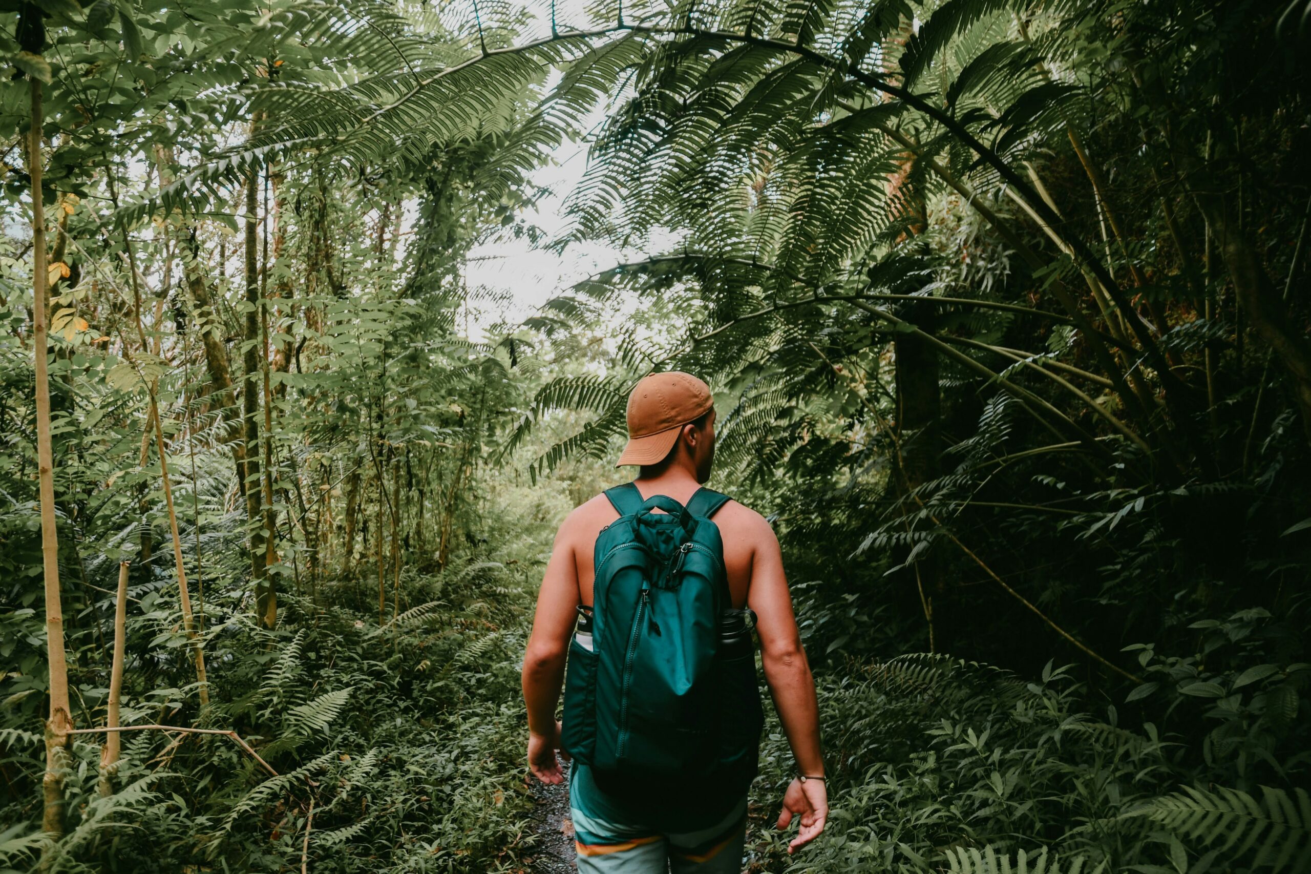 Backpacker walking into jungle as a community based tourism activity